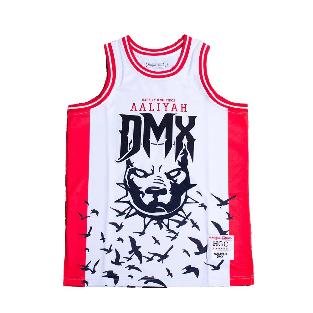 AALIYAH X DMX YOUTH BASKETBALL JERSEY