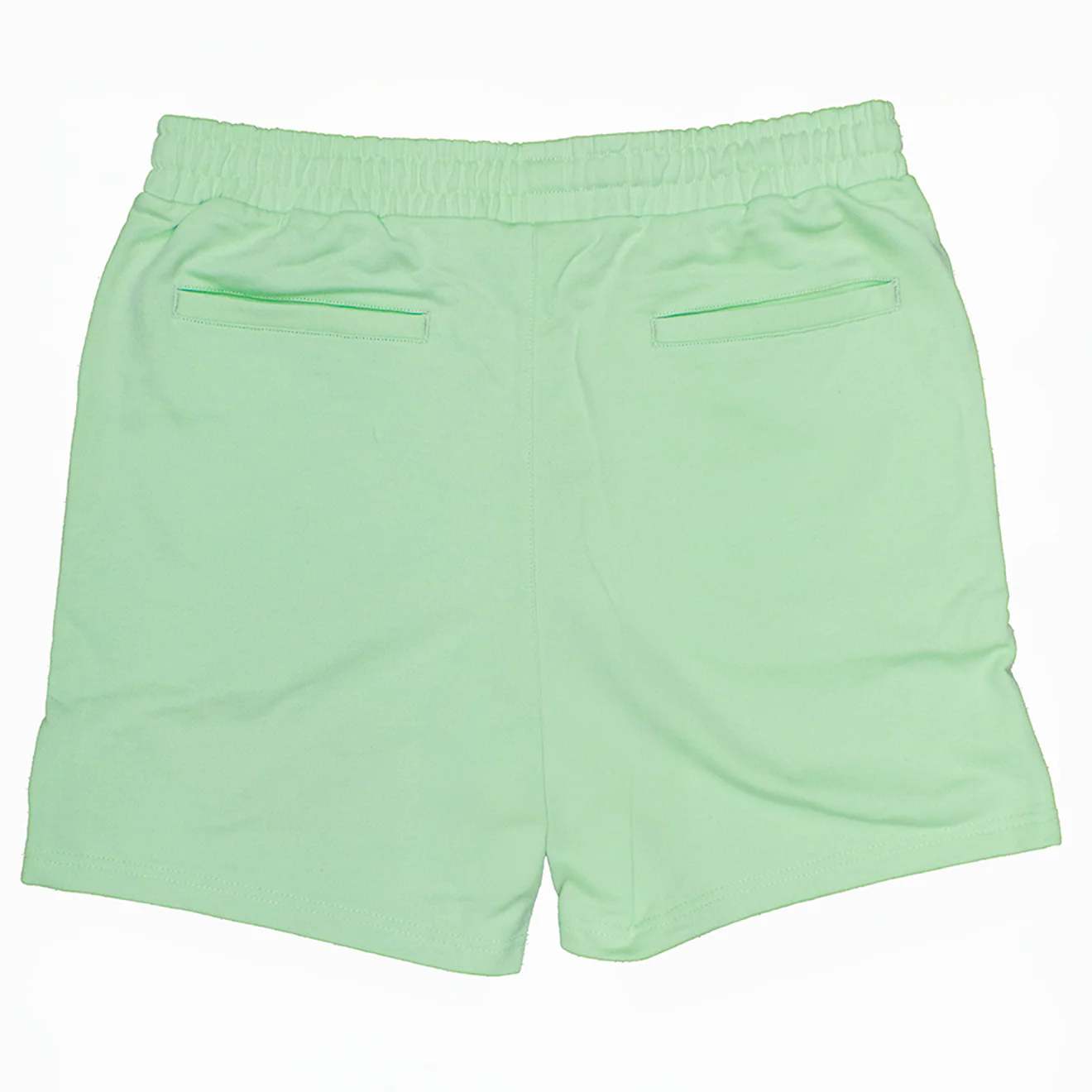 WATSON DIGITAL DREAMSCAPE WORLDWIDE COTTON SHORTS (MINT) - Image 2