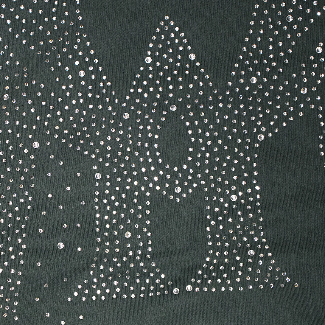 CRYSTAL FULL ZIP HOODIE (CHARCOAL) - Image 3